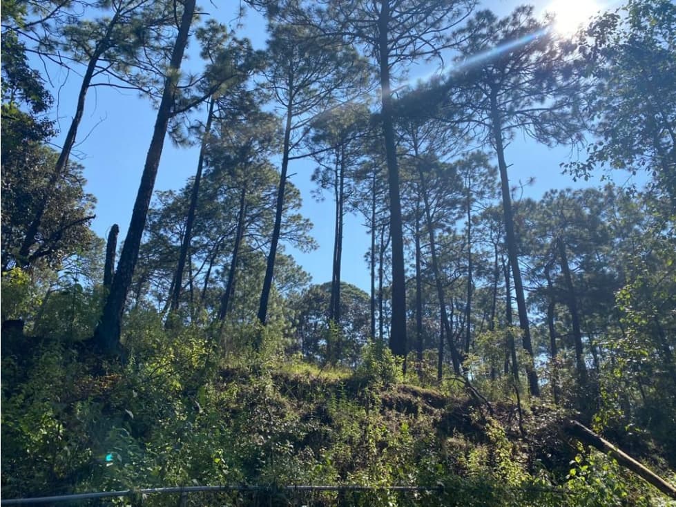 TERRENO COMERCIAL Y HABITACIONAL — foto 3