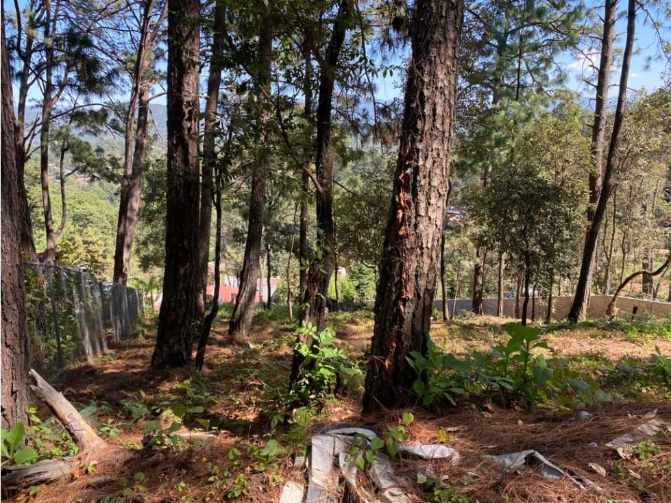 BONITO TERRENO — foto 3