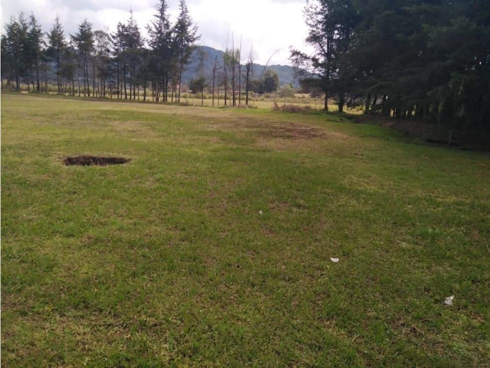 BONITO TERRENO CON OJO DE AGUA — foto 3
