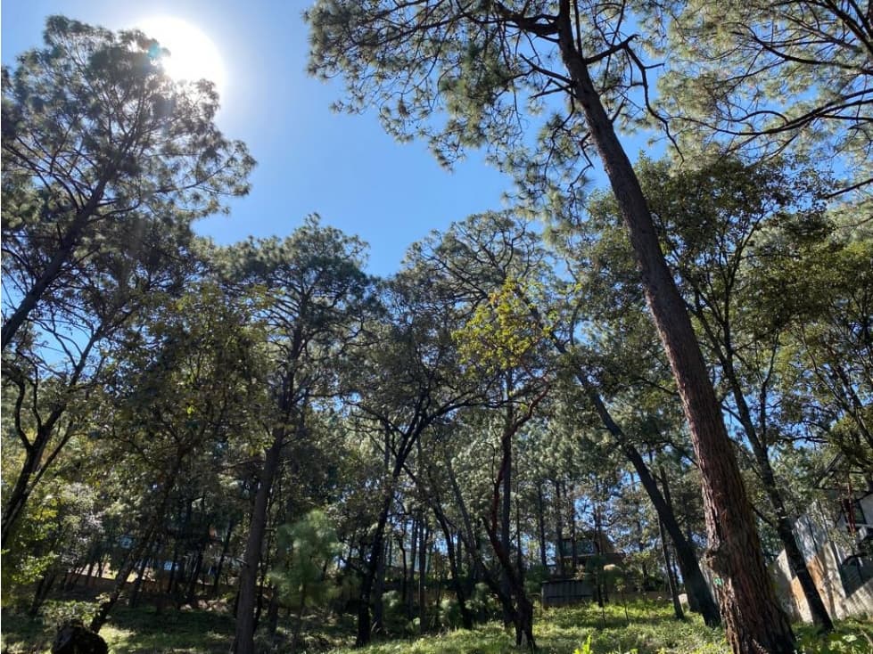 BONITO TERRENO — foto 4