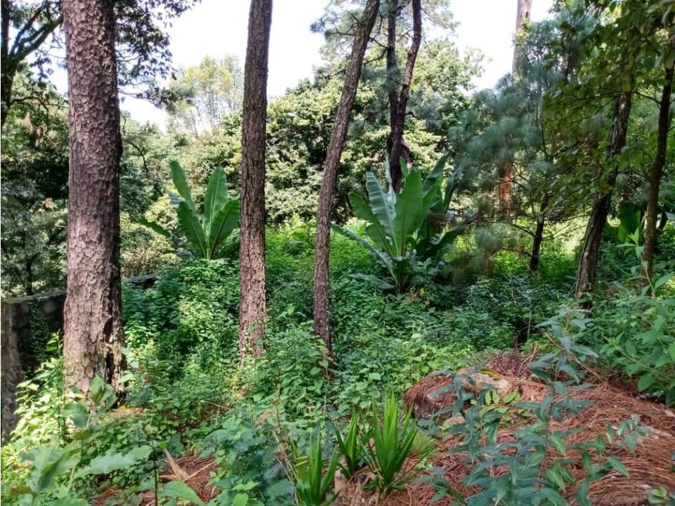 TERRENO EN CONDOMINIO UBICADO EN AVANDARO — foto 2