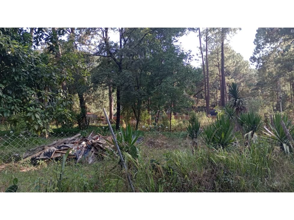 TERRENO CERRO GORDO — foto 4