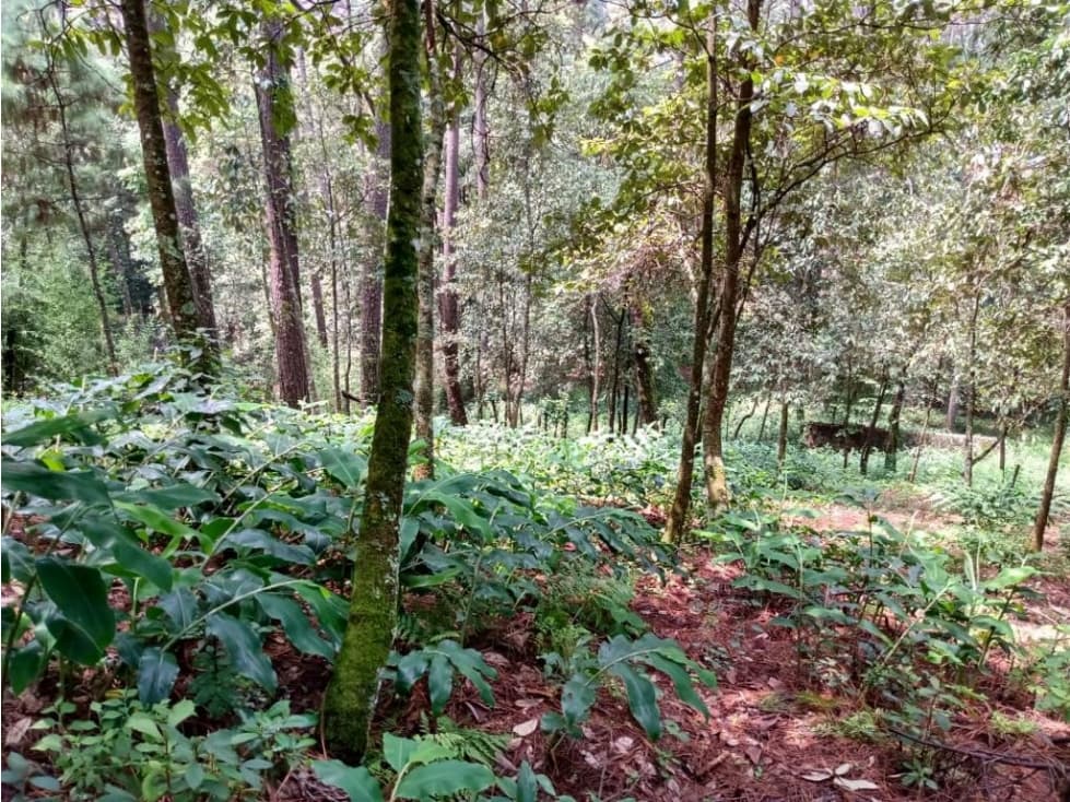 TERRENO EN CONDOMINIO UBICADO EN AVANDARO — foto 4