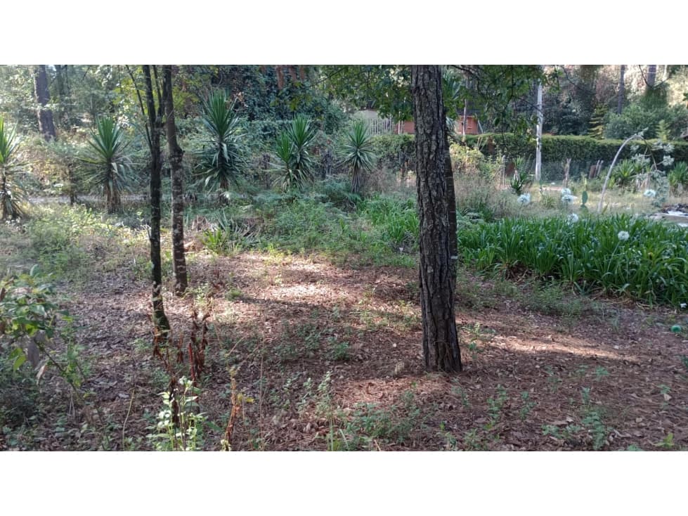TERRENO CERRO GORDO — foto 5