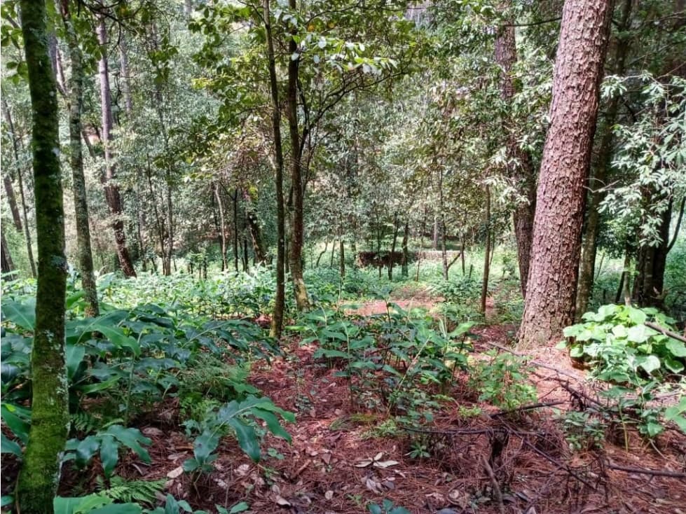 TERRENO EN CONDOMINIO UBICADO EN AVANDARO — foto 5