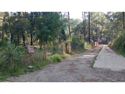 TERRENO CERRO GORDO