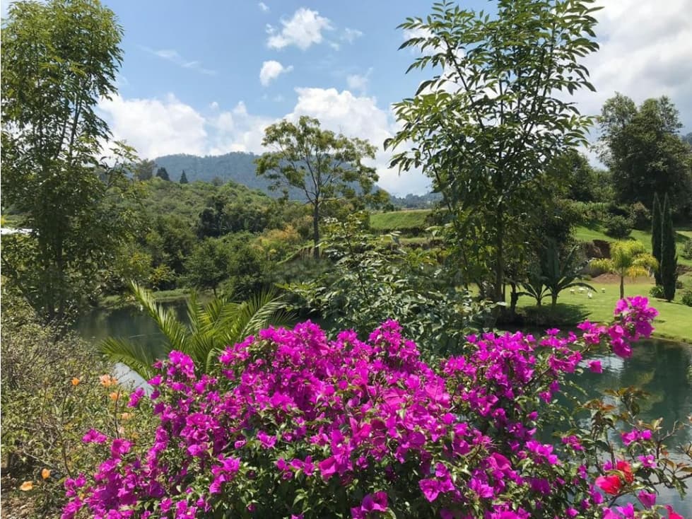 RANCHO CASCADA — foto 4