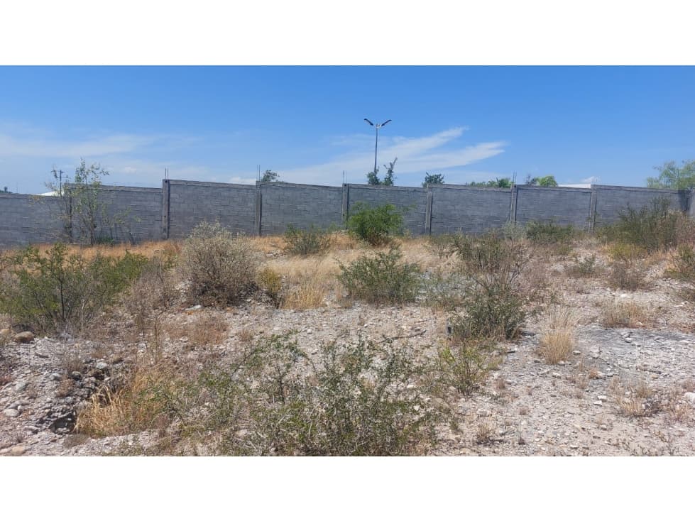VENTA - CIENEGA DE FLORES Terreno — foto 6