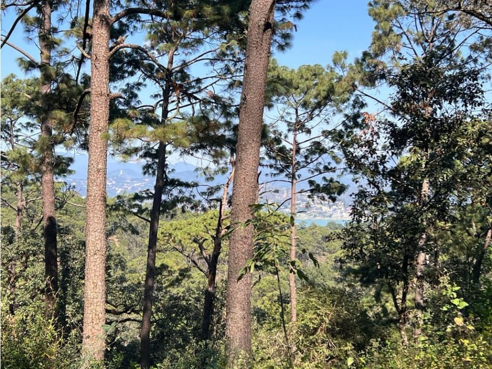 TERRENO EN VENTA ZONA AVANDARO P — foto 1