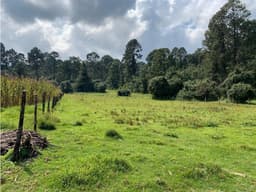 TERRENO EN VENTA EN CUADRILLA DE DOLORES