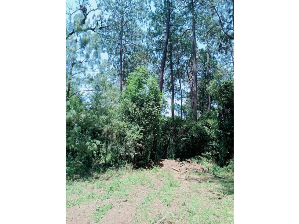 TERRENO EN VENTA EN CERRO GORDO, VALLE DE BRAVO P — foto 2