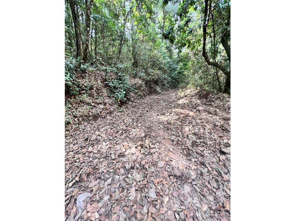 TERRENO EN VENTA EN VALLE DE BRAVO (ZONA LOS ALAMOS) P — foto 1