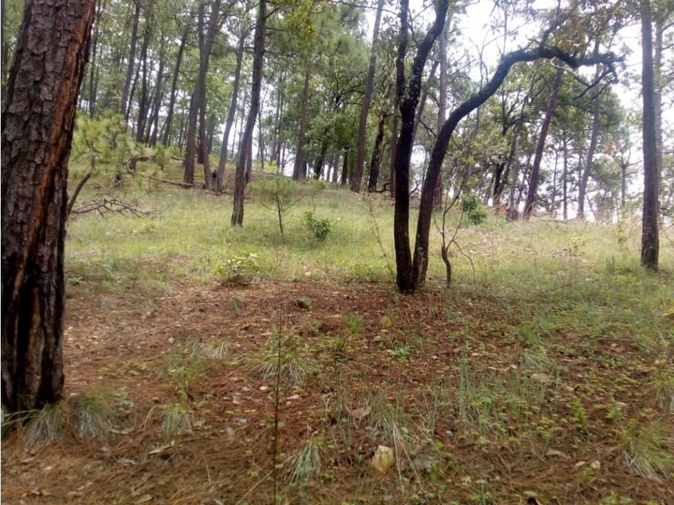 TERRENOS EN VENTA EN VALLE DE BRAVO P — foto 3