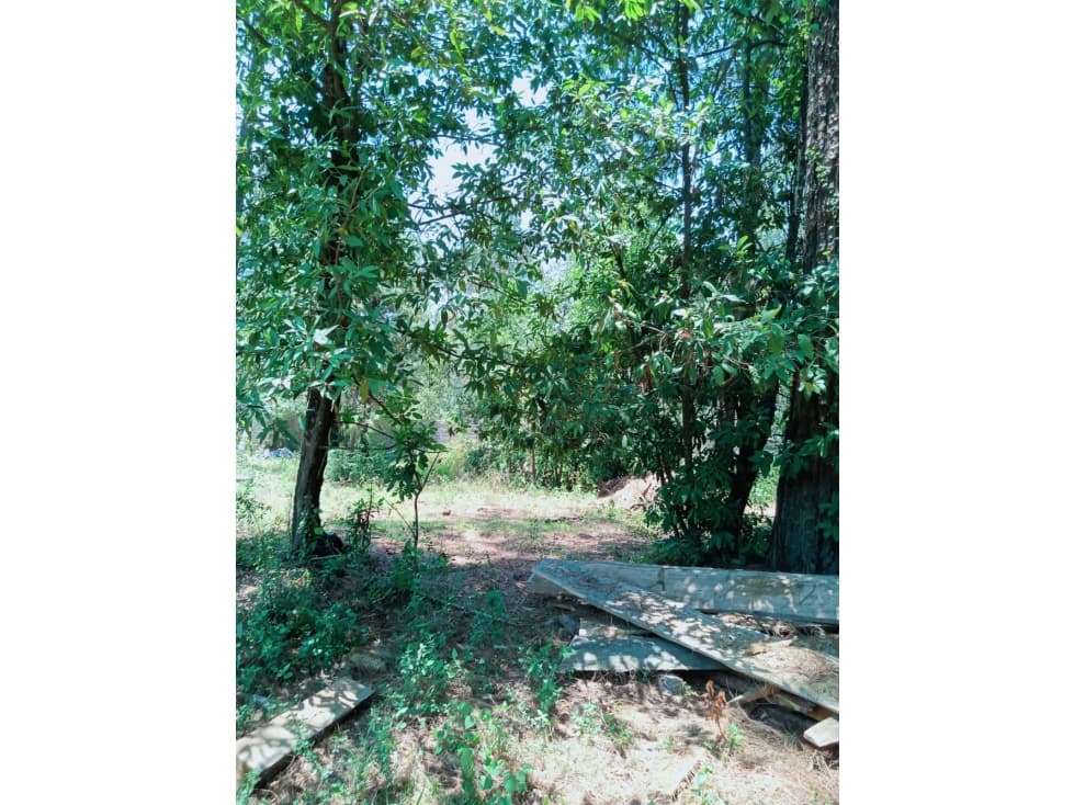 TERRENO EN VENTA EN CERRO GORDO, VALLE DE BRAVO P — foto 1