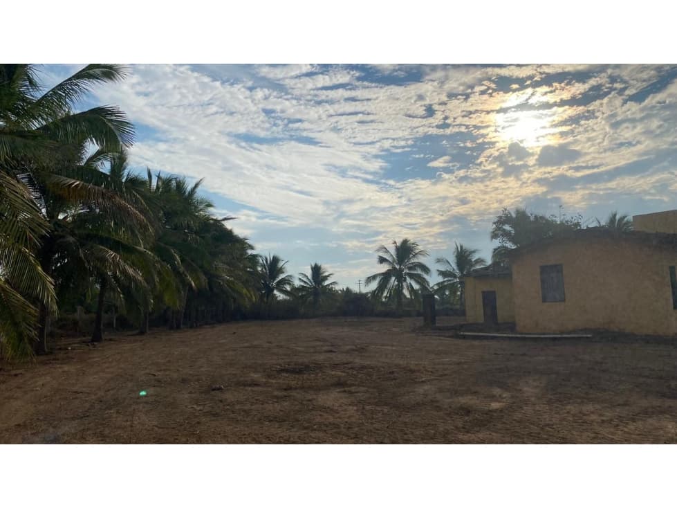 Extraordinaria propiedad en venta en Zihuatanejo — foto 2