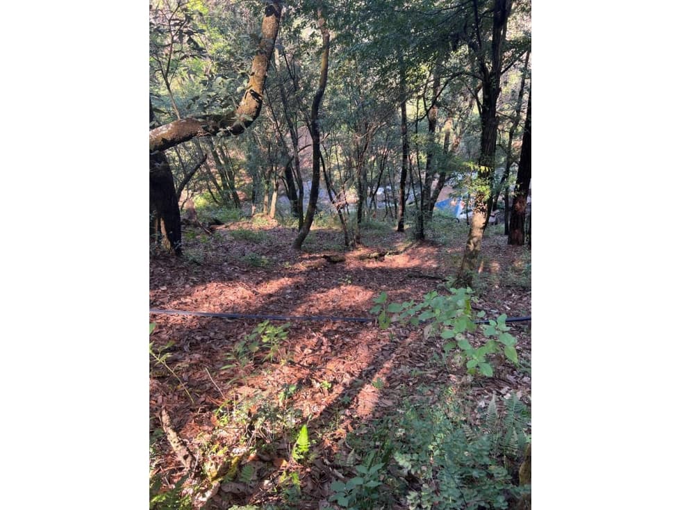 TERRENO EN VENTA ZONA AVANDARO P — foto 3