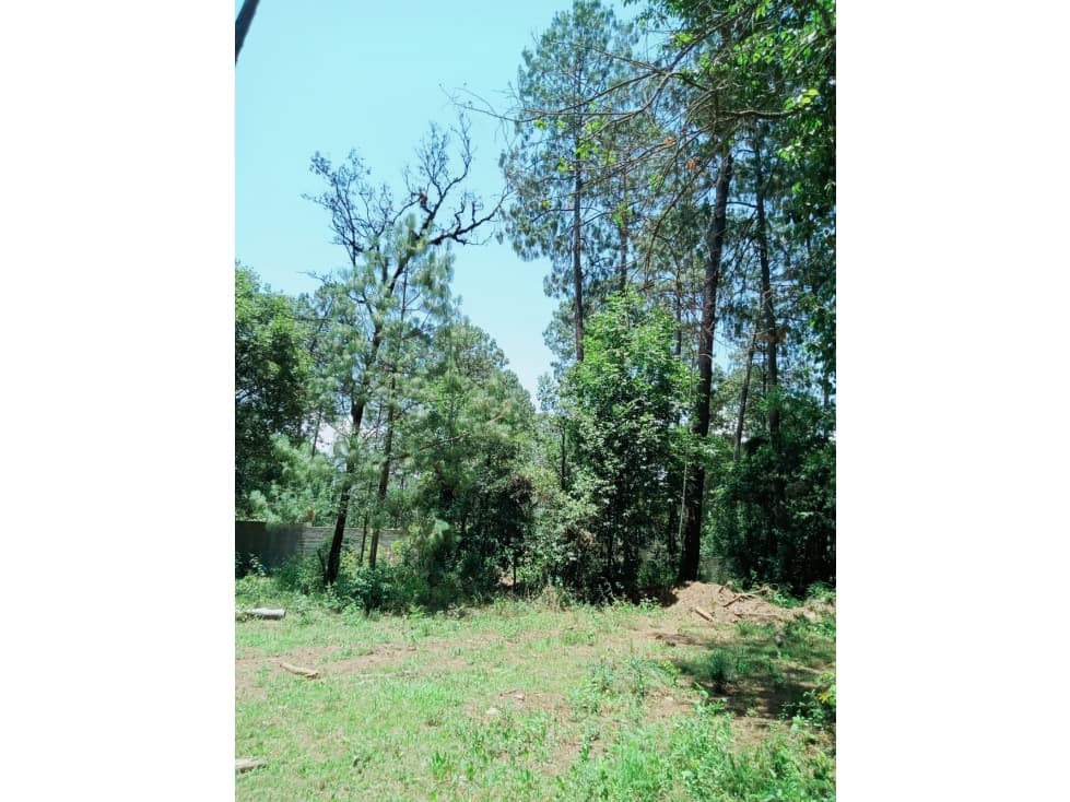 TERRENO EN VENTA EN CERRO GORDO, VALLE DE BRAVO P — foto 4