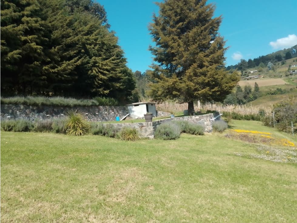 HERMOSO HUERTO EN ZONA PRIVILEGIADA — foto 3