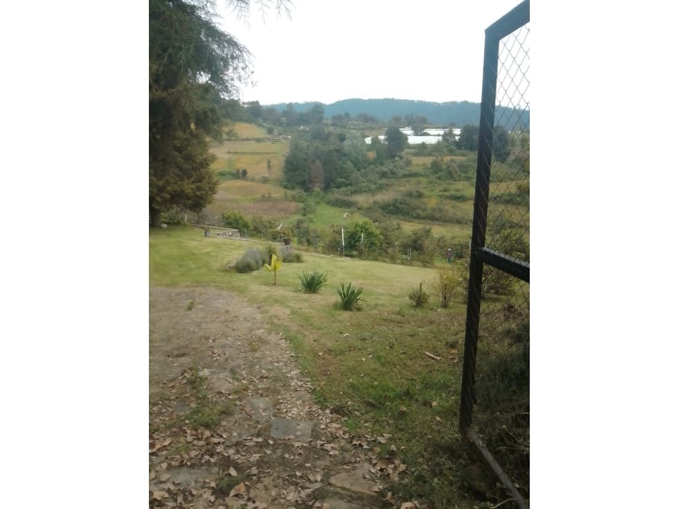 HERMOSO HUERTO EN ZONA PRIVILEGIADA — foto 4
