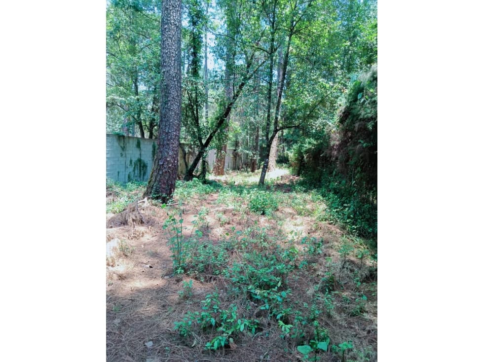 TERRENO EN VENTA EN CERRO GORDO, VALLE DE BRAVO P — foto 6