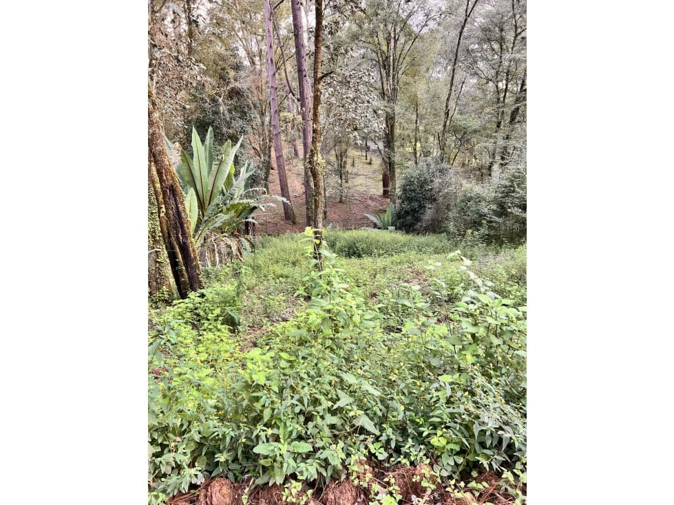 Terreno en venta con Río — foto 6