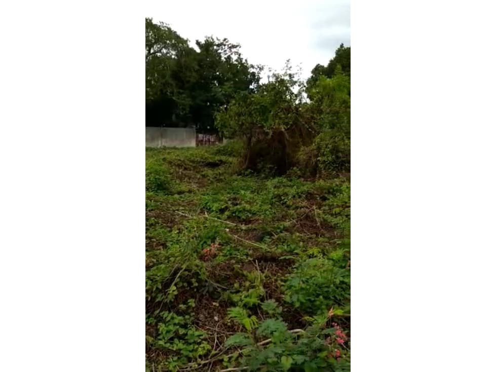 Terreno con construcción en Venta, Centro Histórico, Merida, Yucatan — foto 4