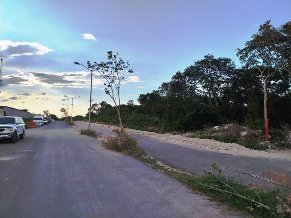 Terreno en Venta en Cholul de 2.5has con servicios — foto 3