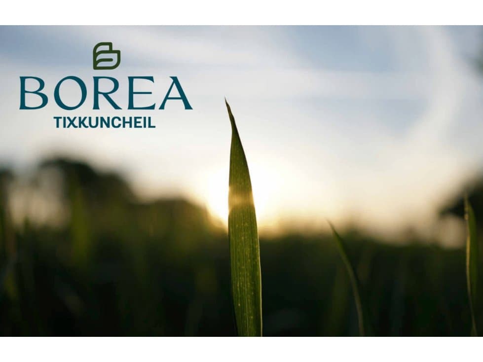 BOREA TIXKUNCHEIL TERREOS EN VENTA — foto 1