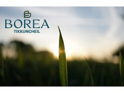 BOREA TIXKUNCHEIL TERREOS EN VENTA