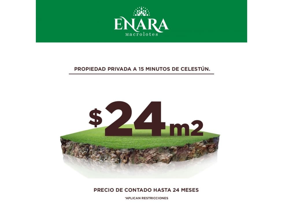 Tetiz Enara Macrolotes en Venta — foto 3