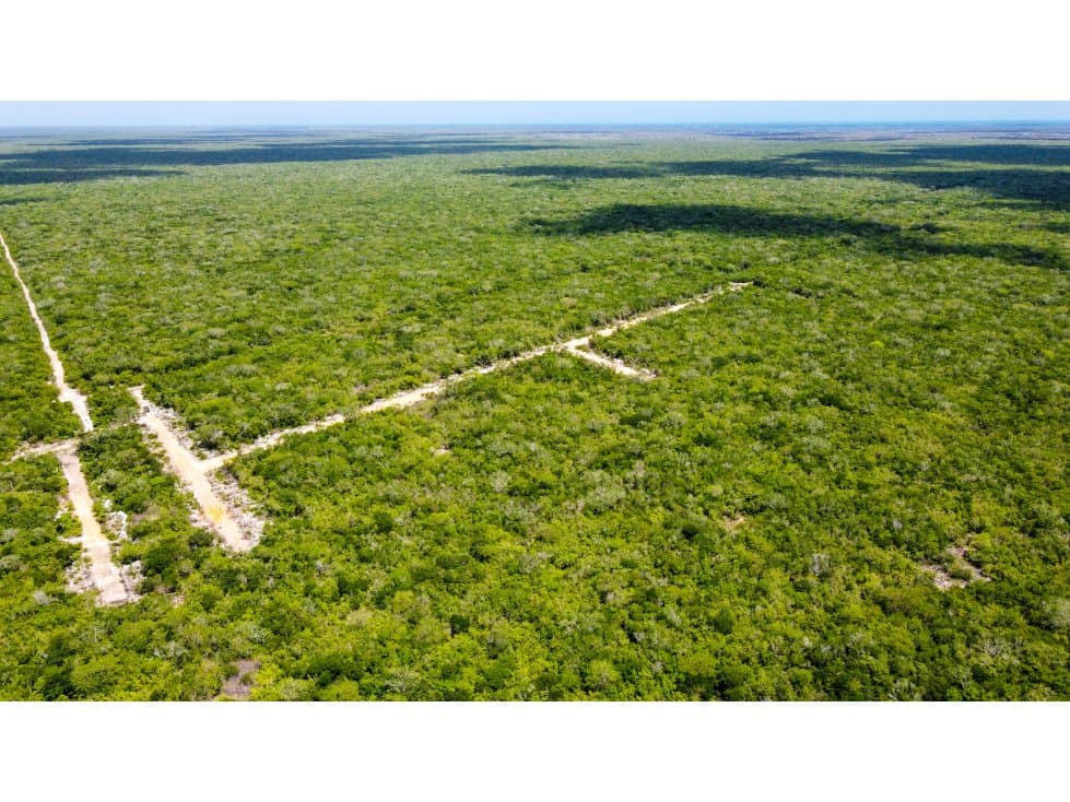 Dzidzilche Lotes En Venta A 15 Minutos De Carretera Progreso — foto 1