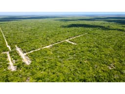 Dzidzilche Lotes En Venta A 15 Minutos De Carretera Progreso