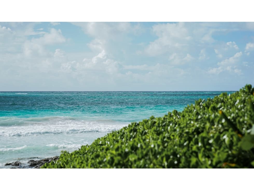 Tulum Lotes Residenciales Exclusivos Harmonian Tulum — foto 4