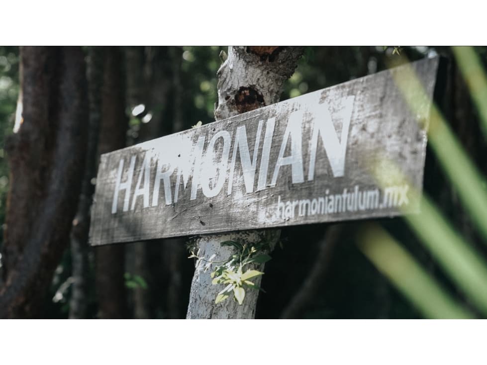 Tulum Lotes Residenciales Exclusivos Harmonian Tulum — foto 2