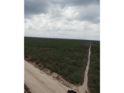 Ensueño Yaxkukul Venta De Lotes Residenciales