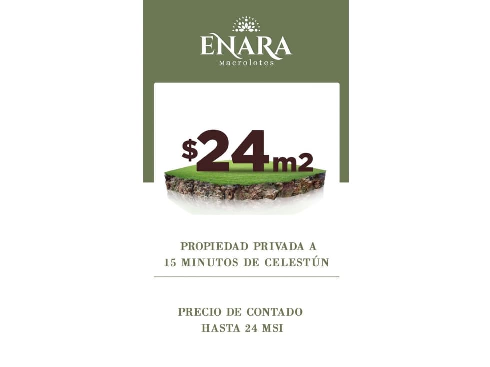 Tetiz Enara Macrolotes en Venta — foto 2