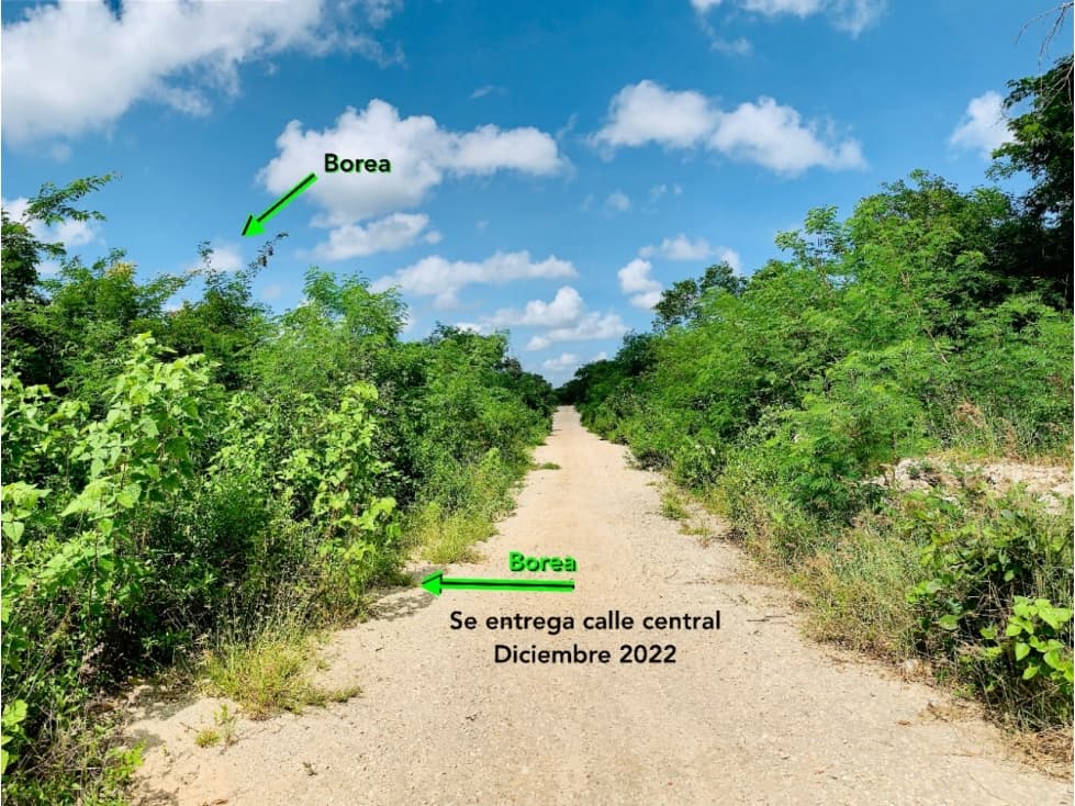 BOREA TIXKUNCHEIL TERREOS EN VENTA — foto 3