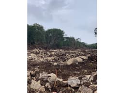 Hunucma Lotes Para Uso Industrial en Venta en Nodo
