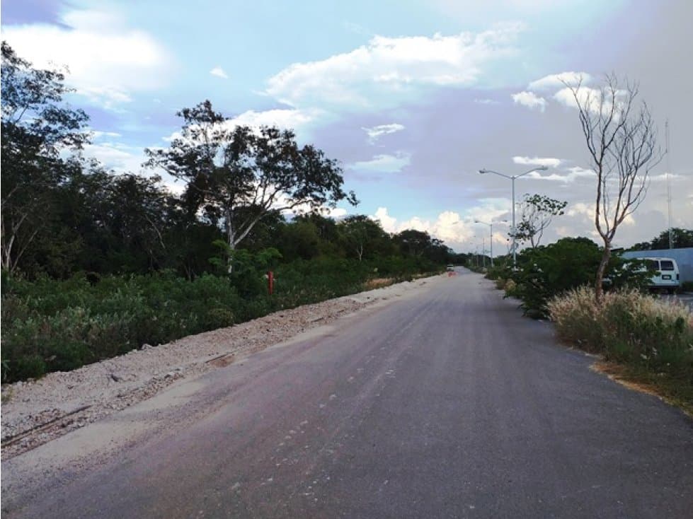 Terreno en Venta en Cholul de 2.5has con servicios — foto 6