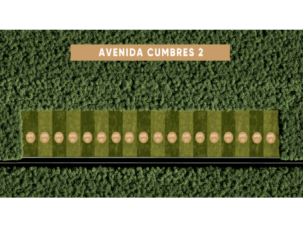Avenida Cumbres Cholul Venta de Terrenos Urbanizados — foto 2