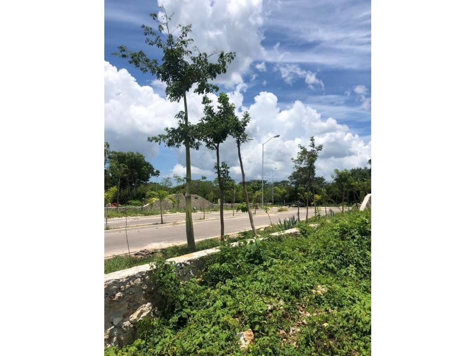 Conkal Terreno En Esquina Dentro De Privada Amaranta — foto 5