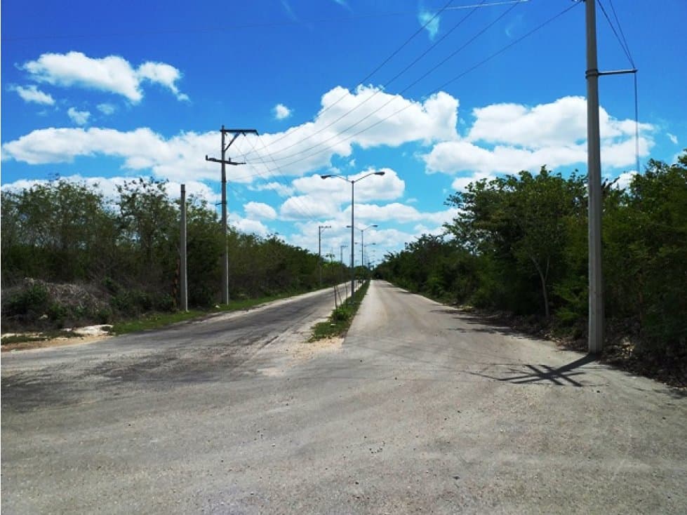 Terreno en Venta en Conkal con servicios 3.9has — foto 5