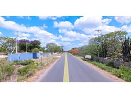 Terreno en Venta San Jose Ztal Merida 2 hectareas