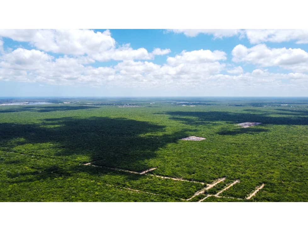 Dzidzilche Lotes En Venta A 15 Minutos De Carretera Progreso — foto 2