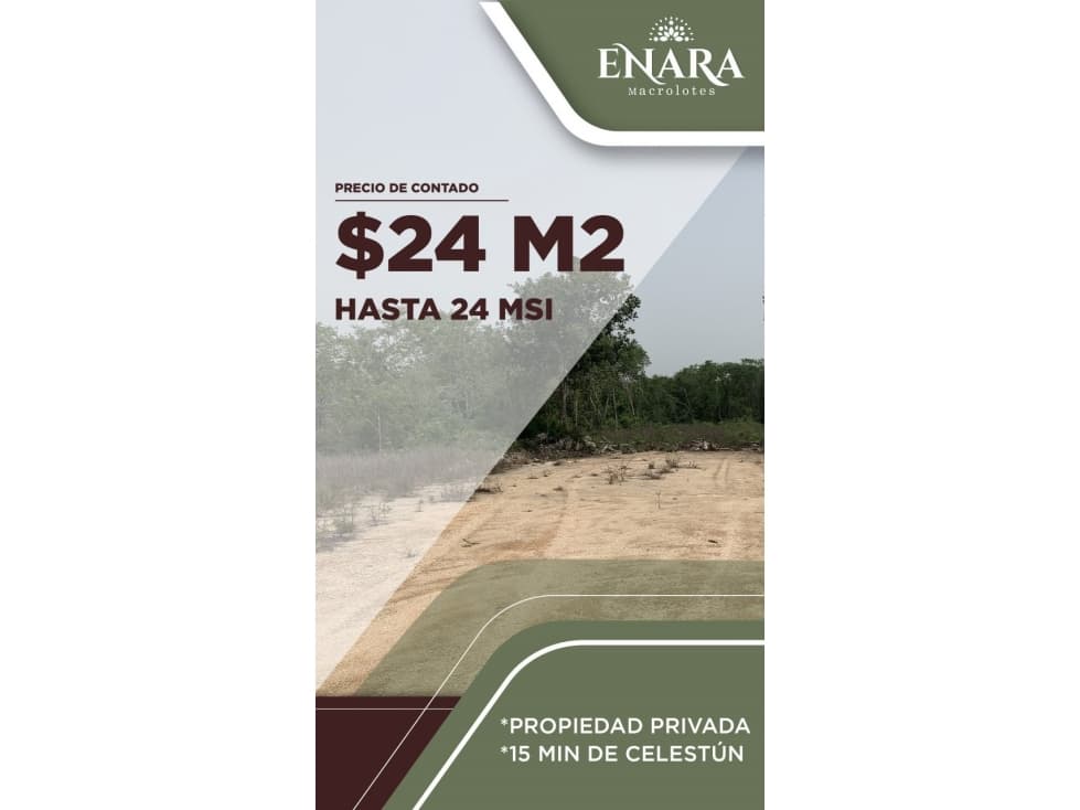 Tetiz Enara Macrolotes en Venta — foto 6
