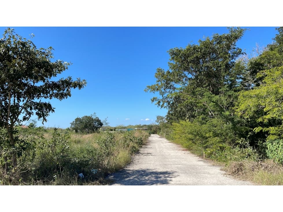 Temozon Norte Terreno De Gran ExtensiOn En Venta — foto 2