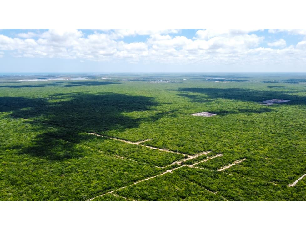 Dzidzilche Lotes En Venta A 15 Minutos De Carretera Progreso — foto 3