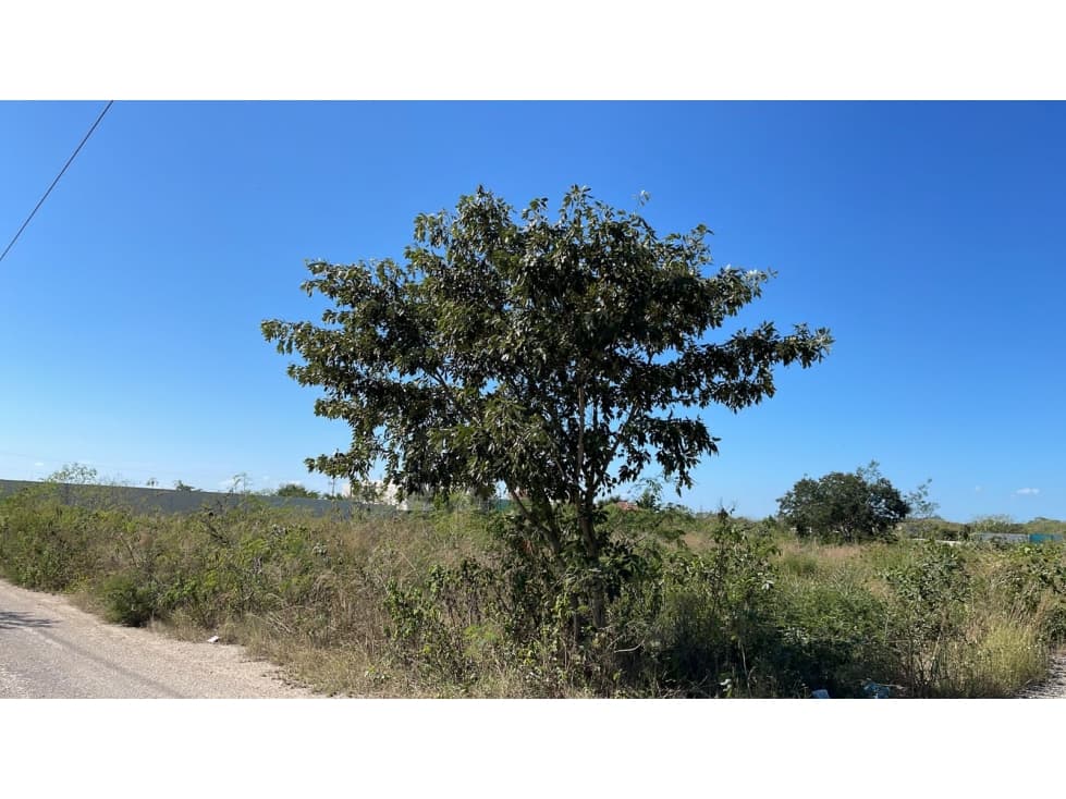 Temozon Norte Terreno De Gran ExtensiOn En Venta — foto 1