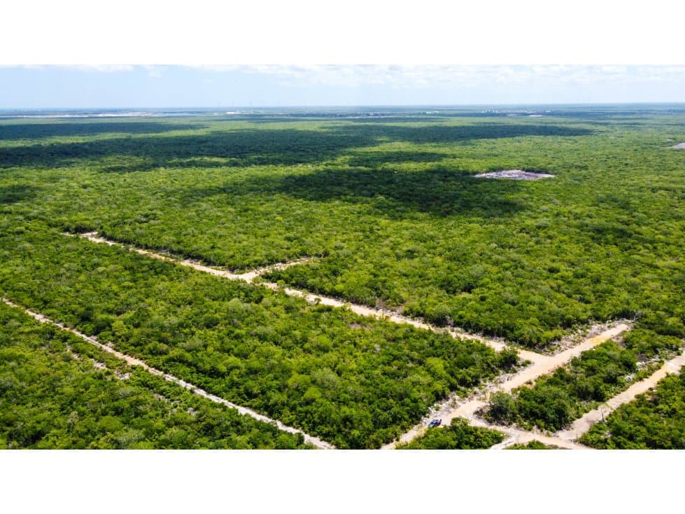 Dzidzilche Lotes En Venta A 15 Minutos De Carretera Progreso — foto 4