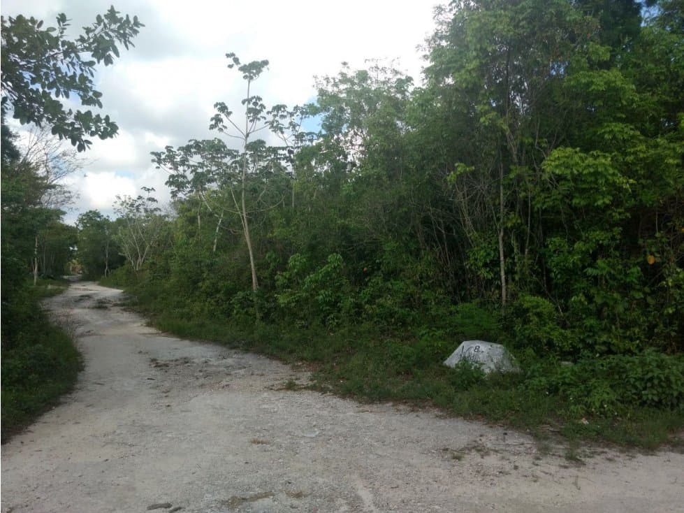 TERRENO DE OPORTUNIDAD EN VENTA COL MÉXICO — foto 2